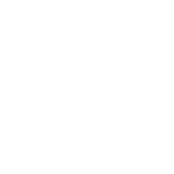 自然选择Logo